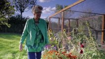 Prue Leith's Cotswold Kitchen - Season 3 Episode 1 - Angela Griffin