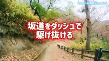 2026年登り初め！枚岡公園ハイキング28年目の記録＆視聴者プレゼント！【RSタイチのどら焼きとコーヒー】