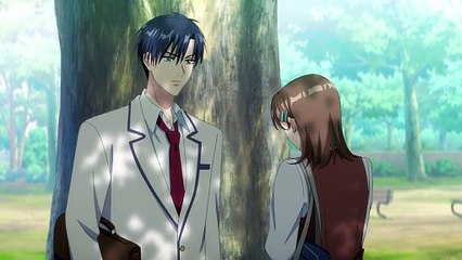 Hanazakari no Kimitachi e 02