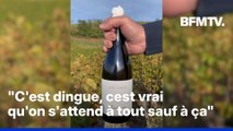 Après une apparition dans la série documentaire sur Taylor Swift, ce vin français cartonne aux États-Unis
