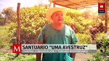 Santuario ‘Uma Avestruz’ impulsa conservación y turismo responsable en Chiapas