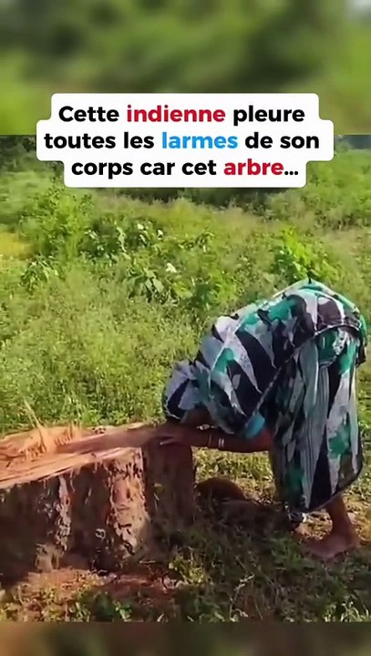 L’arbre sacré 🌳