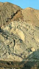 लाइमस्टोन   मेसेसरी स्टोन  का अवैध परिवहन करते पकड़ा