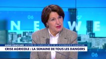 Annie Genevard : «Le gouvernement garantira aux agriculteurs le budget de la PAC»