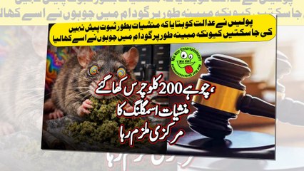 India police say rats ate 200kg Drugs چوہے 200 کلو چرس کھا گئے، منشیات اسمگلنگ کا مرکزی ملزم رہا