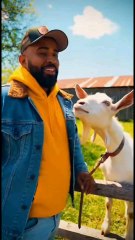 Les meilleures blagues sur les perroquets #perroquet