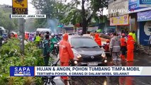 Angin Kencang dan Hujan Deras, Pohon Tumbang Timpa Mobil, 4 Penumpang Selamat | SAPA MALAM