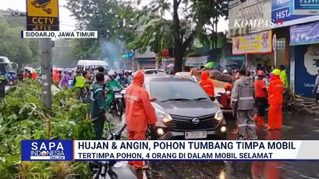 Angin Kencang dan Hujan Deras, Pohon Tumbang Timpa Mobil, 4 Penumpang Selamat | SAPA MALAM