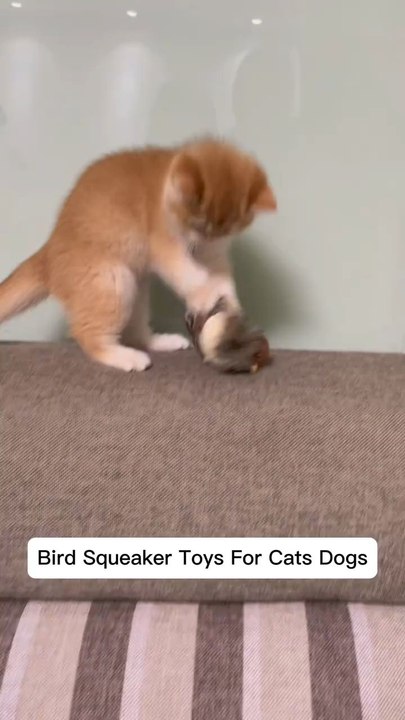 🐦 Real bird sounds. Real cat excitement.Your cat can’t resist this toy 😻⚡ Tap to shop now — limited stock!