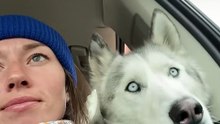 Husky s Obsession Is Skiing With Mom _ The Dodo