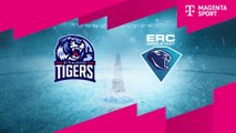 Highlights von Straubing Tigers - ERC Ingolstadt