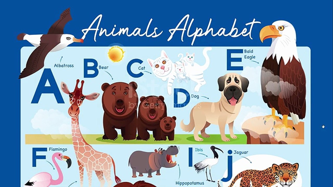 Animals songs