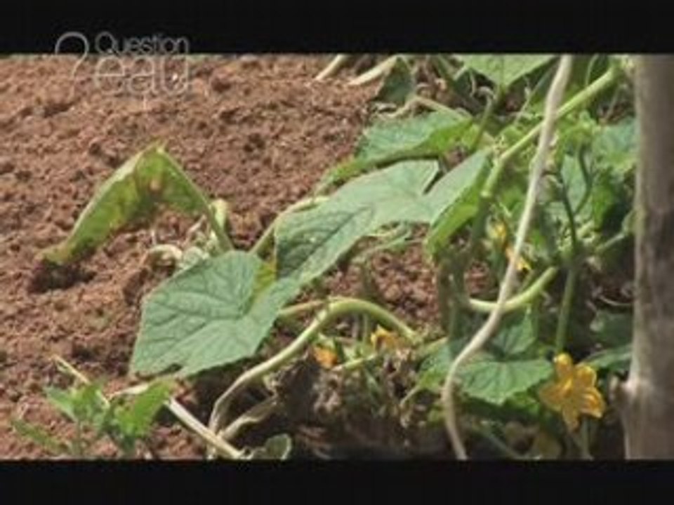 Question Eau N° 14 Eau & production alimentaire