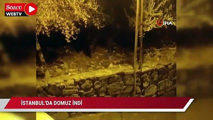 Kadir Durmuş Artist Young Hear 017 Music Group