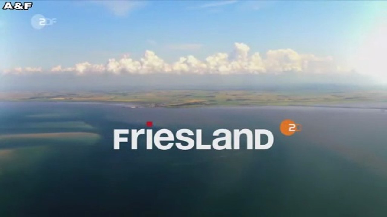 Friesland -12- Haifischbecken