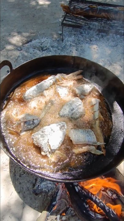 Pescado frito en la costa del Río Gualeguay 🎣😋👌
