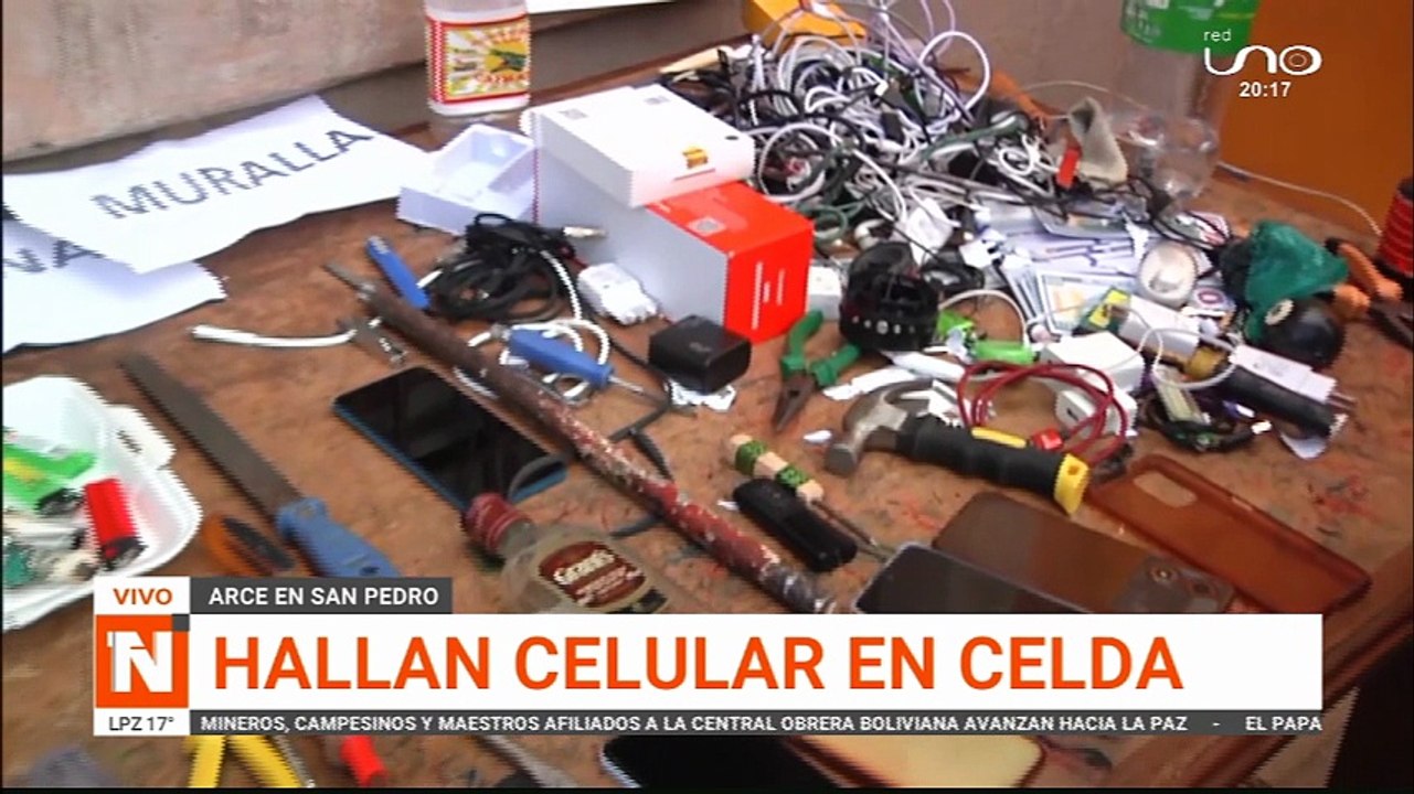 LUIS ARCE CELULAR