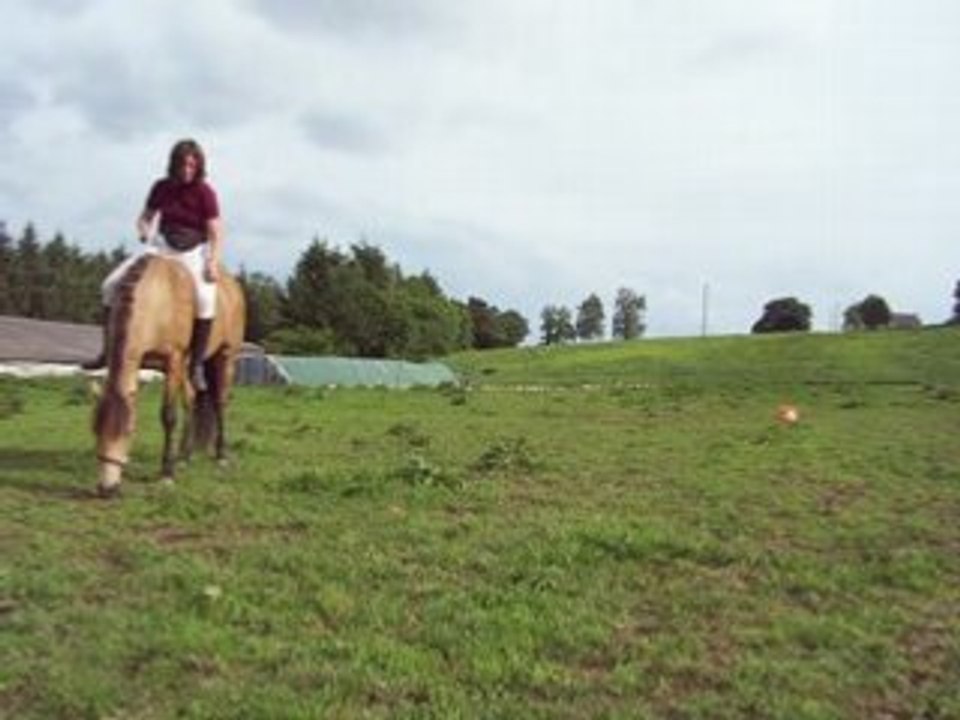 Donne le stick monté