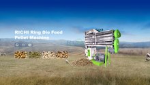 Animal Feed Pellet Machine in Operation | Efficient Feed Pelletizing Solutions