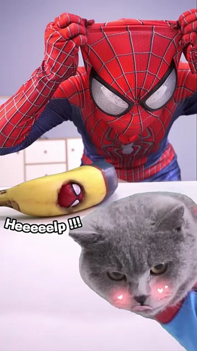 Guess What s The Secret To My Transformation_   oscarfunnyworld  funnycat  shorts