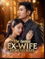 The Genius Ex-Wife Broke His Rules Drama Movies English Sub