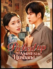 Picked up My Amnesiac Husband Drama Movies English Sub