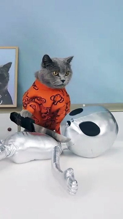 Battle Of The Cat And Alien_ Guess Who Would Win_     costway  costwayreviews  costwayairpurifier