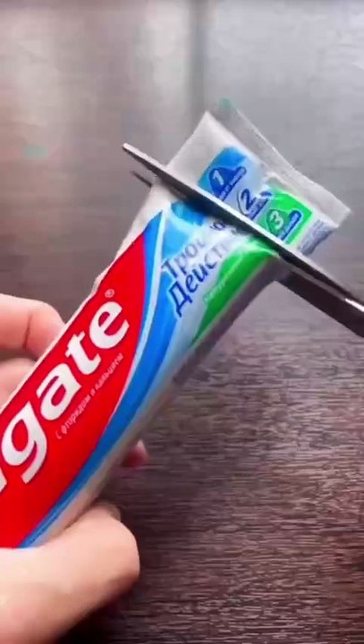 What s In Your Toothpaste_   Find Out Now  oscarfunnyworld  funnycat  toothpaste  toy  shorts