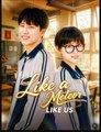 Like a Meteor Like Us Drama Movies English Sub