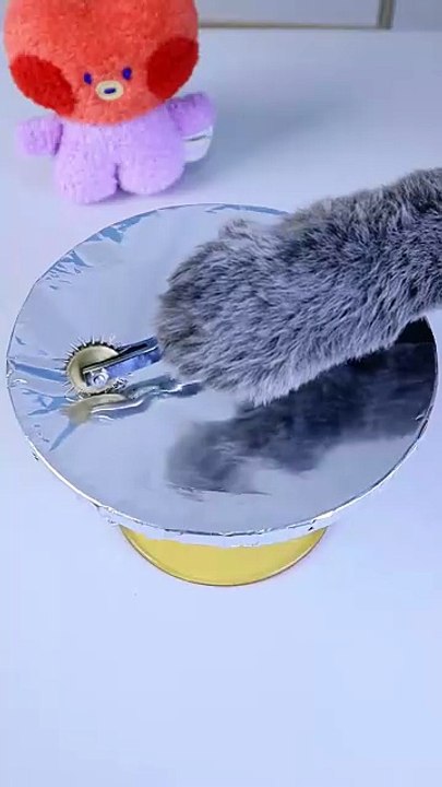 ASMR Don t Try The Second One At Supermarket    oscarfunnyworld  oddlysatisfying  funnycat  shorts