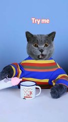 Three Impossible Magic Tricks You Can Do      oscarfunnyworld  funnycats  funnyoscar  shorts