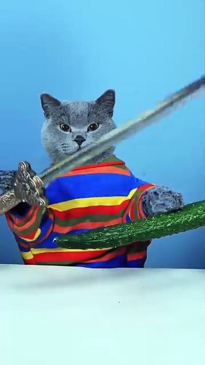 Magic BATTLE Oscar Makes Magic Tricks Easier     _ Funny Magic Challenge   funnycat    shorts