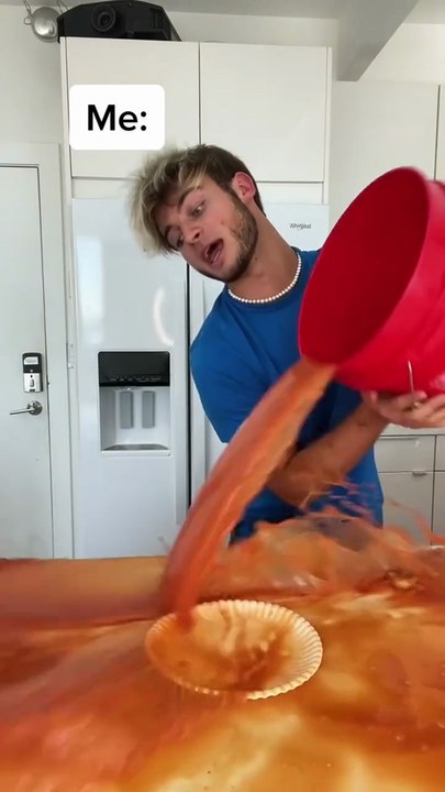 Hamster CoCo_ Watch Me Shrink Food With _light_  _ Don t Waste Food   funnycat  catsoftiktok   shorts