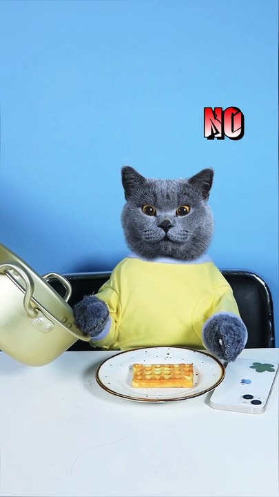 Grim Reaper_ I Love Waffles  Don t Waste     _ Funny Cat TikTok  topperguild  funnycat    shorts