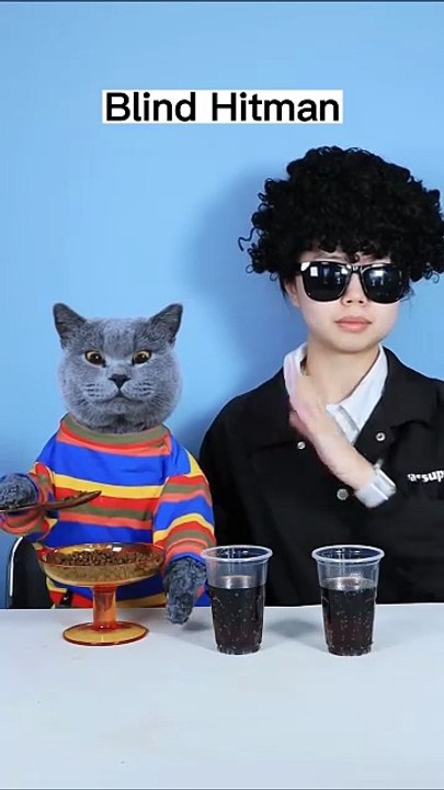 When You re A Hitman But You re Blind     _ Funny Cat TikTok  funnycat  catsoftiktok   shorts