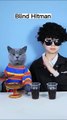 When You re A Hitman But You re Blind     _ Funny Cat TikTok  funnycat  catsoftiktok   shorts