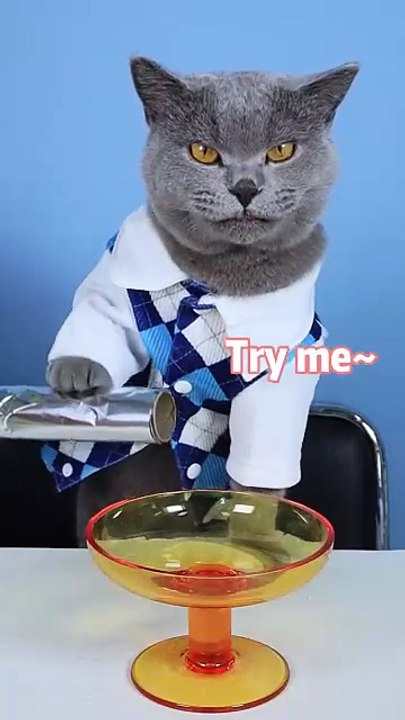 SUPER Satisfying Video Makes You Relaxed       _ Oddly Satisfying Tiktok  funnycat  shorts