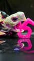 ASMR Mukbang Eating Pink 5    Turtle Tortoise