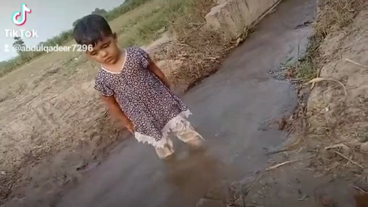 Punjabi mohal
