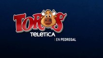 Toros en pedregal 04 enero 2026