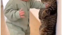 Funny Animal Moments | Cute Baby and Cat  Doing Hilarious Things