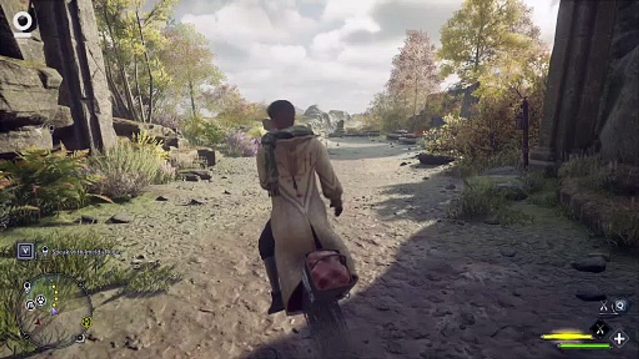 Hogwarts Legacy #156 Speak with Imelda Reyes