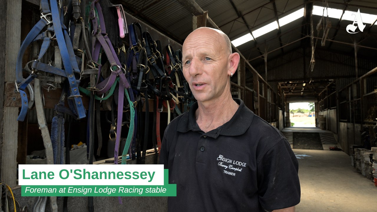 Lane O'Shannessey with 2026 Devonport Cup contender Earendel