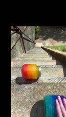 Breaking bottles #foryoupageシ #fyp #viral #bottle #fun #foryou #funnyreel #glassbottles #brokinghearts #breakbottles