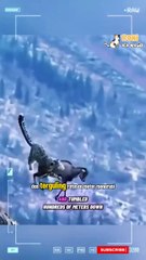 Macan tutul salju mempertaruhkan nyawanya saat memburu kambing gunung di tebing curam, namun justru burung elang emas yang mendapat keuntungan dari hasilnya.