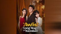 Awas! Sang Naga Kembali Film Lengkap