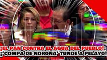 🔥🚨¡LA DERECHA Y EL PAN VS. EL AGUA DEL PUEBLO! ¡REGINALDO ‘EL COMPA DE NOROÑA’ DESPEDAZA a PANARKO!