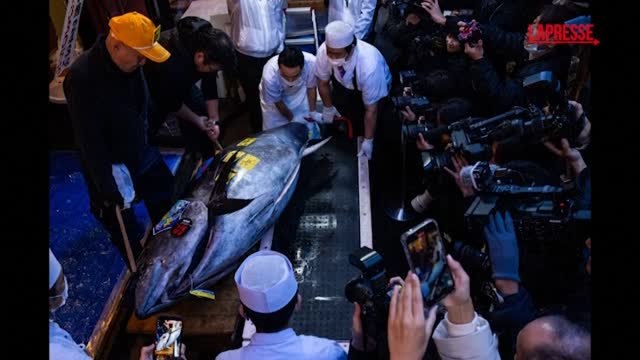 Tonno rosso Oma da record: 243 chili di peso, venduto all'asta per 3,2 milioni di dollari