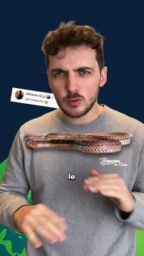 Pourquoi les serpents n'ont pas de pattes ? #serpent #patte #animaux #nature #science