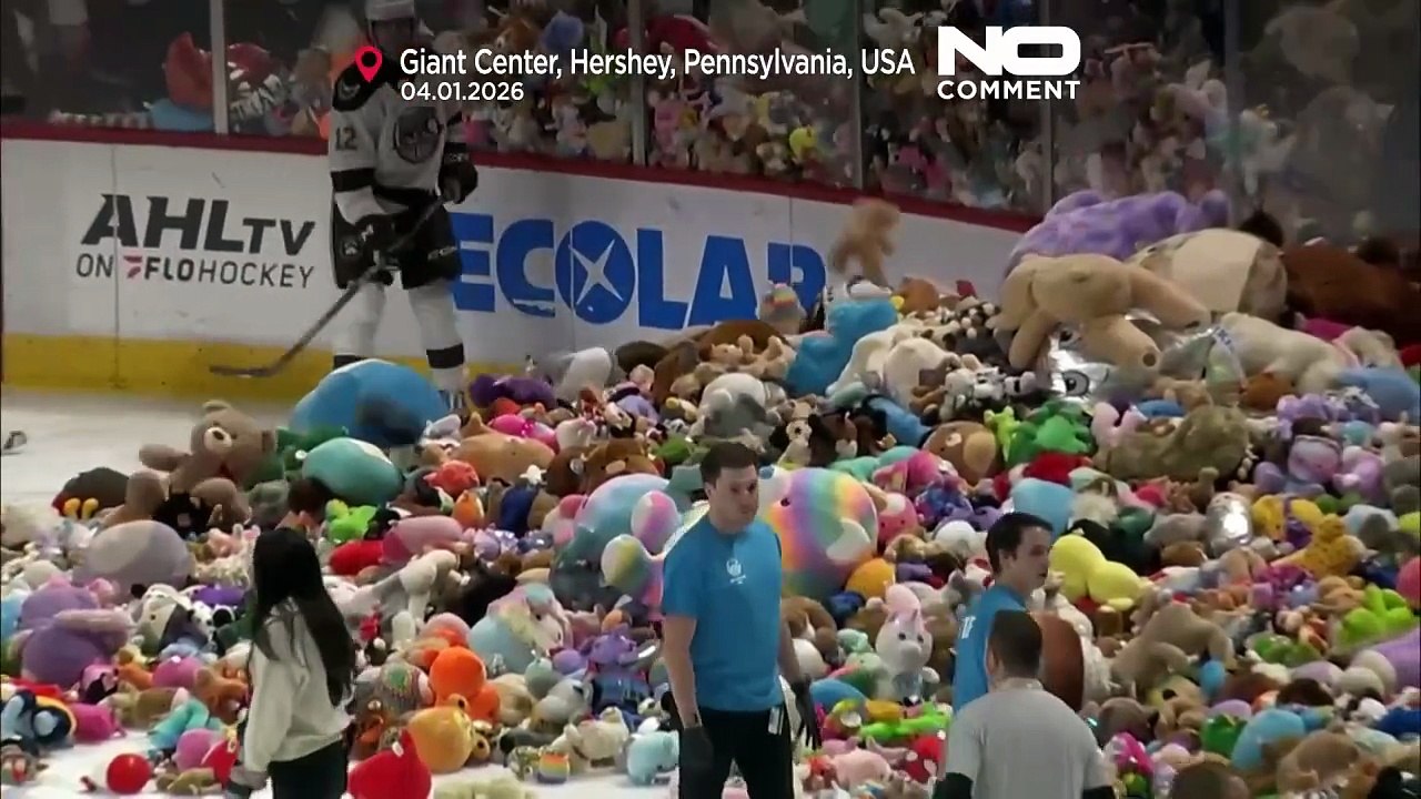 Hershey Bears, il Teddy Bear Toss raccoglie 81.796 giocattoli per organizzazioni benefiche locali